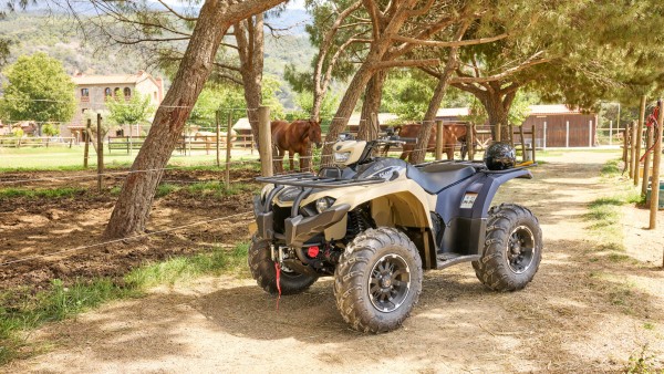 Yamaha Kodiak 450 EPS SE avec blocage de différentiel – Image 2